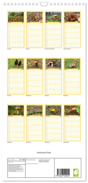 Heimische Pilze (CALVENDO Familienplaner 2026)