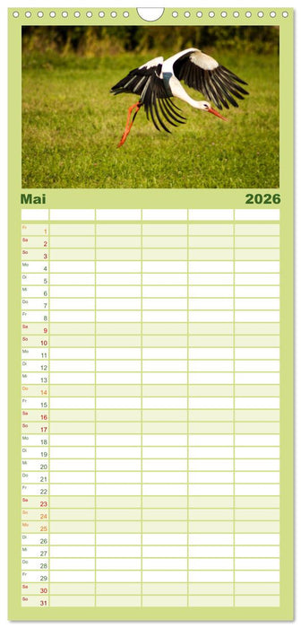 Das Baltikum - Unterwegs in faszinierenden Kulturlandschaften (CALVENDO Familienplaner 2026)