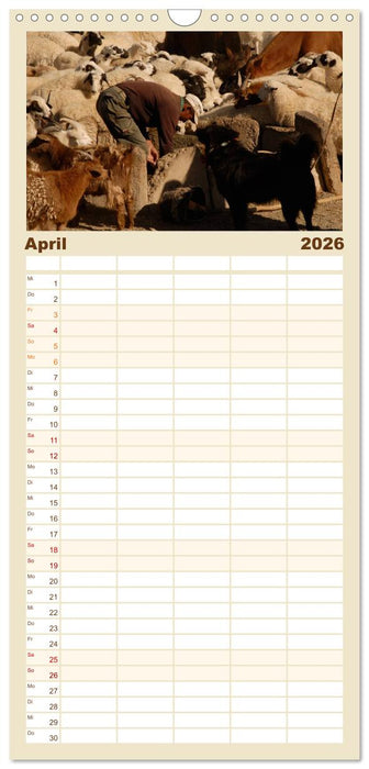 Wüste Gobi (CALVENDO Familienplaner 2026)