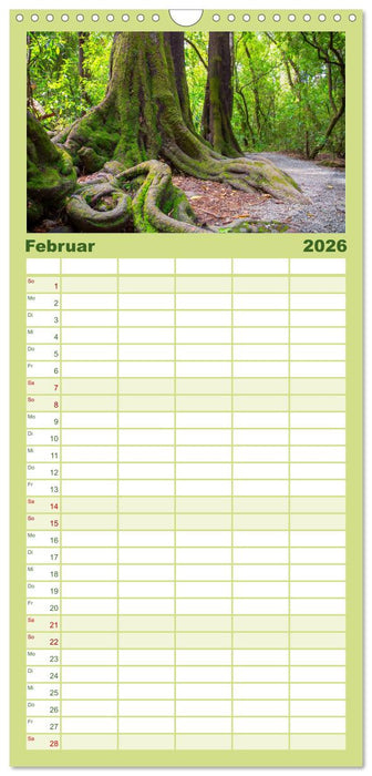 Traumhafte Wege - Unterwegs auf Neuseelands Südinsel (CALVENDO Familienplaner 2026)