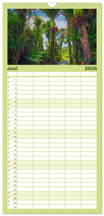 Traumhafte Wege - Unterwegs auf Neuseelands Südinsel (CALVENDO Familienplaner 2026)