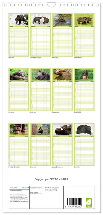 Begegnungen DER BRAUNBÄR (CALVENDO Familienplaner 2026)
