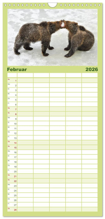 Begegnungen DER BRAUNBÄR (CALVENDO Familienplaner 2026)