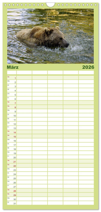 Begegnungen DER BRAUNBÄR (CALVENDO Familienplaner 2026)