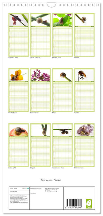 Schnecken FineArt (CALVENDO Familienplaner 2026)