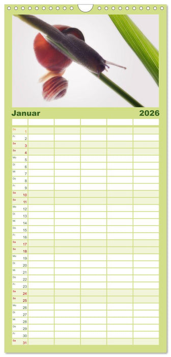 Schnecken FineArt (CALVENDO Familienplaner 2026)