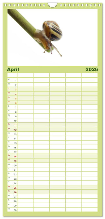 Schnecken FineArt (CALVENDO Familienplaner 2026)