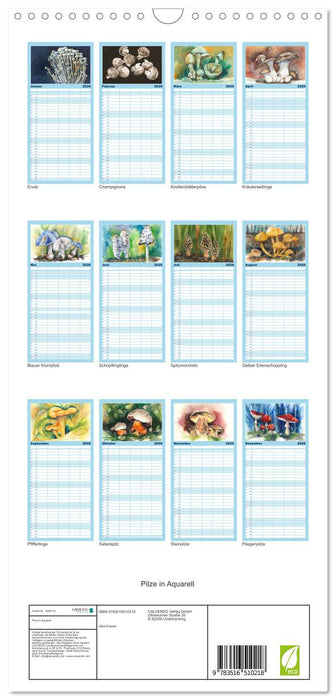 Pilze in Aquarell (CALVENDO Familienplaner 2026)