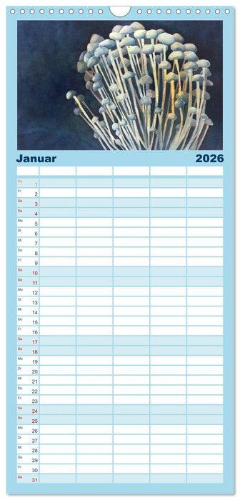 Pilze in Aquarell (CALVENDO Familienplaner 2026)