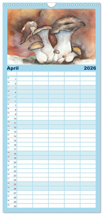 Pilze in Aquarell (CALVENDO Familienplaner 2026)