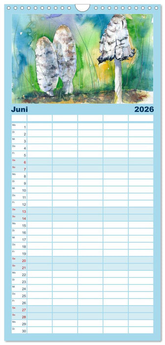 Pilze in Aquarell (CALVENDO Familienplaner 2026)