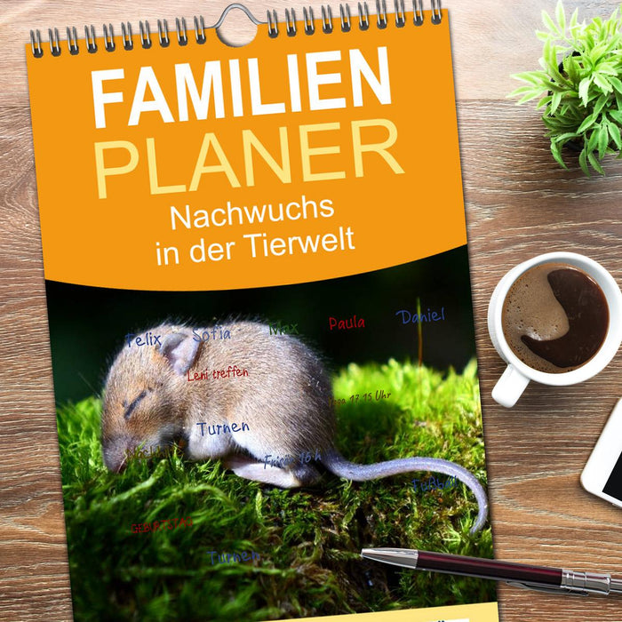 Nachwuchs in der Tierwelt (CALVENDO Familienplaner 2026)