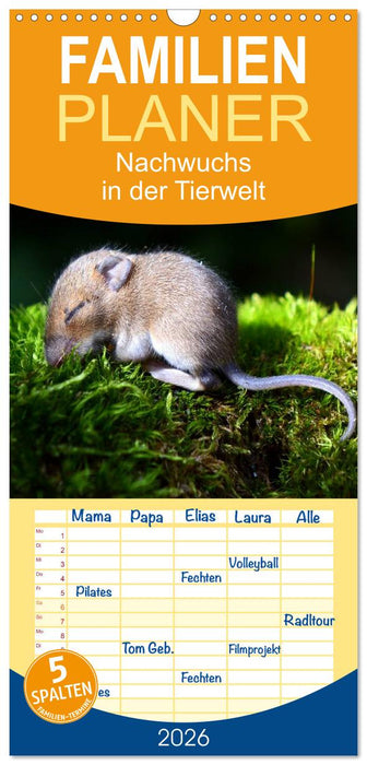 Nachwuchs in der Tierwelt (CALVENDO Familienplaner 2026)