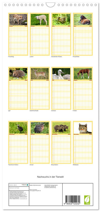 Nachwuchs in der Tierwelt (CALVENDO Familienplaner 2026)