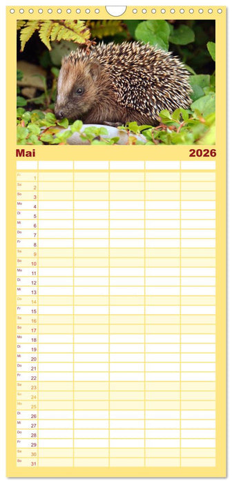 Nachwuchs in der Tierwelt (CALVENDO Familienplaner 2026)