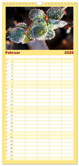 Blätter (CALVENDO Familienplaner 2026)