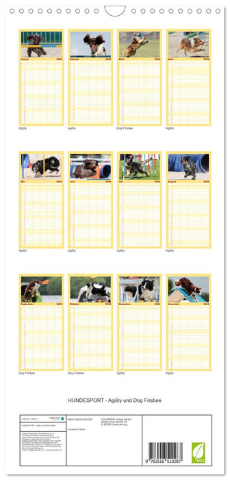 HUNDESPORT - Agility und Dog Frisbee (CALVENDO Familienplaner 2026)