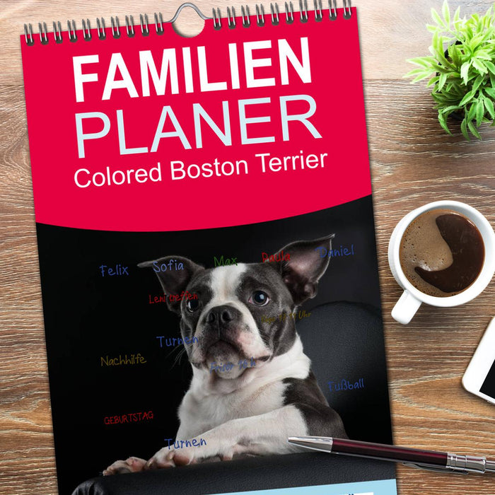 Colored Boston Terrier 2026 (CALVENDO Familienplaner 2026)
