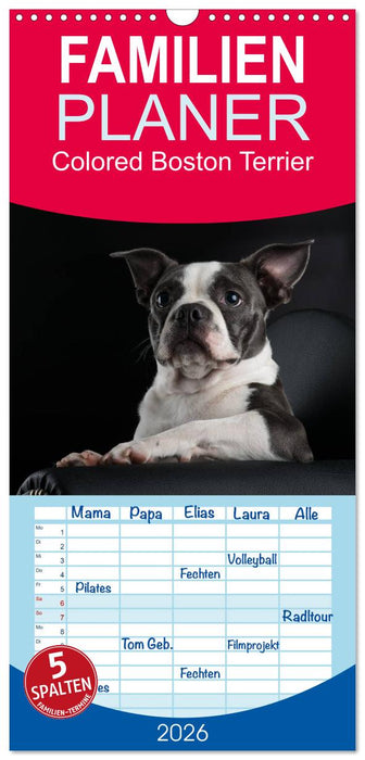 Colored Boston Terrier 2026 (CALVENDO Familienplaner 2026)