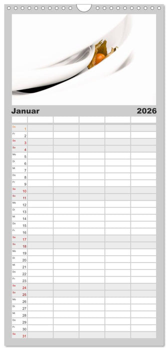 my.LIFESTYLE - Leben in Weiß (CALVENDO Familienplaner 2026)