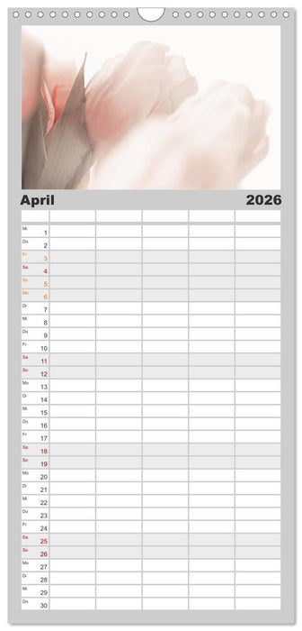 my.LIFESTYLE - Leben in Weiß (CALVENDO Familienplaner 2026)