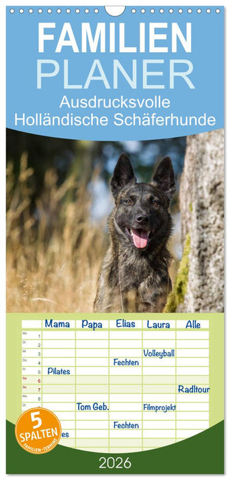 ausdrucksvolle Holländische Schäferhunde (CALVENDO Familienplaner 2026)