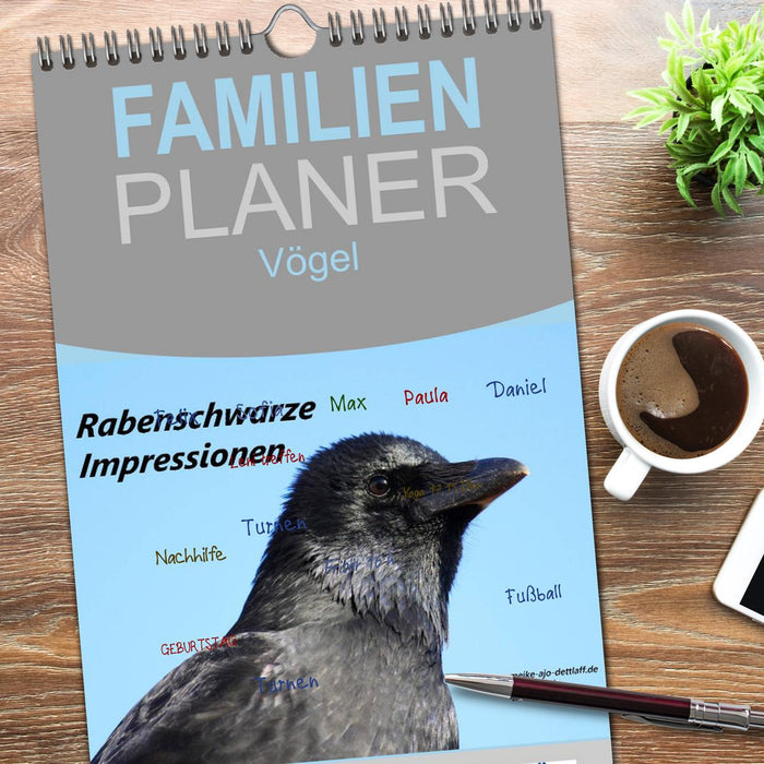 Rabenschwarze Impressionen - meike-ajo-dettlaff.de via wildvogelhlfe.org (CALVENDO Familienplaner 2026)