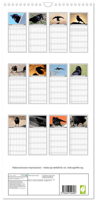 Rabenschwarze Impressionen - meike-ajo-dettlaff.de via wildvogelhlfe.org (CALVENDO Familienplaner 2026)