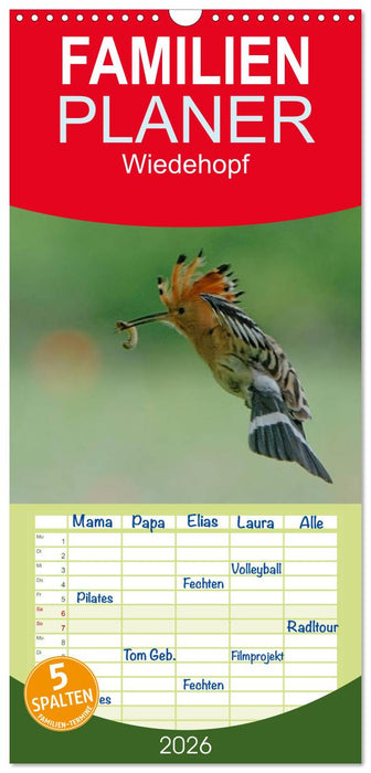 Wiedehopf (CALVENDO Familienplaner 2026)
