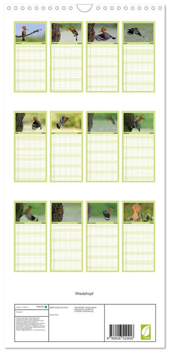 Wiedehopf (CALVENDO Familienplaner 2026)