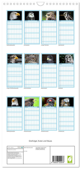 Greifvögel, Eulen und Käuze (CALVENDO Familienplaner 2026)