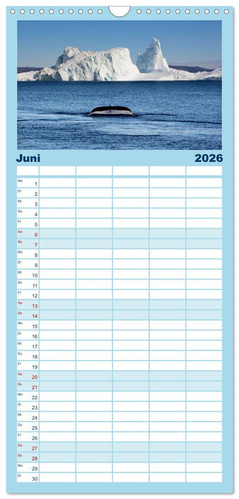 GRÖNLAND - EISIGE MOMENTE (CALVENDO Familienplaner 2026)