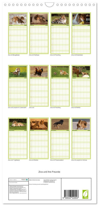 Ziva und ihre Freunde (CALVENDO Familienplaner 2026)