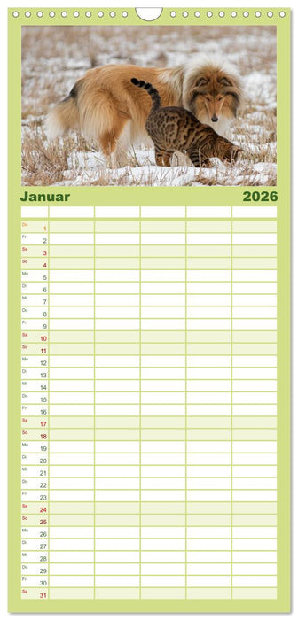 Ziva und ihre Freunde (CALVENDO Familienplaner 2026)