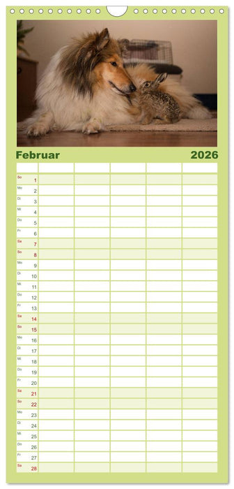 Ziva und ihre Freunde (CALVENDO Familienplaner 2026)