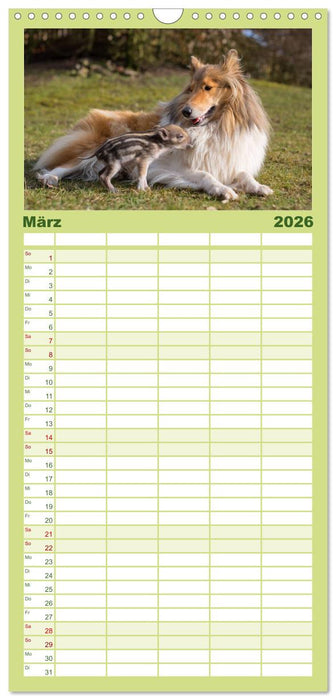 Ziva und ihre Freunde (CALVENDO Familienplaner 2026)