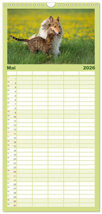 Ziva und ihre Freunde (CALVENDO Familienplaner 2026)