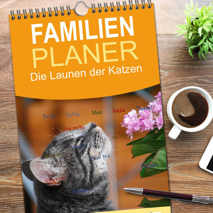 Die Launen der Katzen 2026 (CALVENDO Familienplaner 2026)