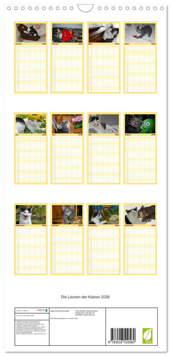 Die Launen der Katzen 2026 (CALVENDO Familienplaner 2026)