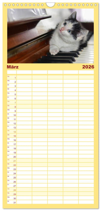 Die Launen der Katzen 2026 (CALVENDO Familienplaner 2026)