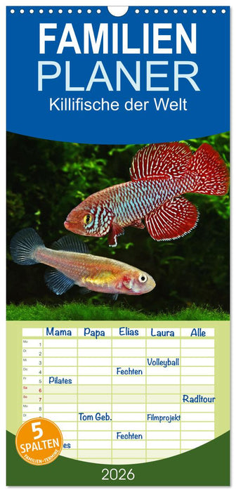 Killifische der Welt (CALVENDO Familienplaner 2026)