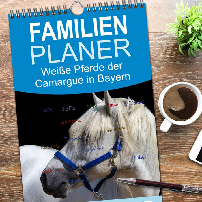 Weiße Pferde der Camargue in Bayern (CALVENDO Familienplaner 2026)