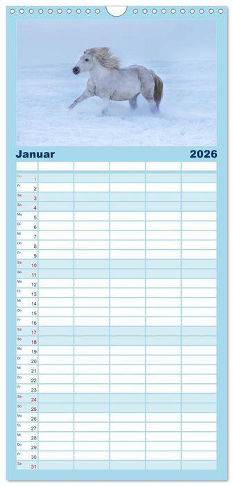 Weiße Pferde der Camargue in Bayern (CALVENDO Familienplaner 2026)