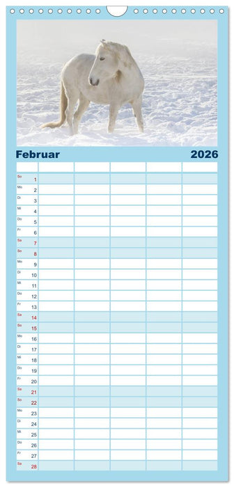 Weiße Pferde der Camargue in Bayern (CALVENDO Familienplaner 2026)