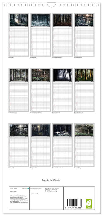 Mystische Wälder (CALVENDO Familienplaner 2026)