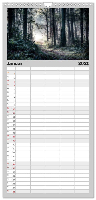 Mystische Wälder (CALVENDO Familienplaner 2026)