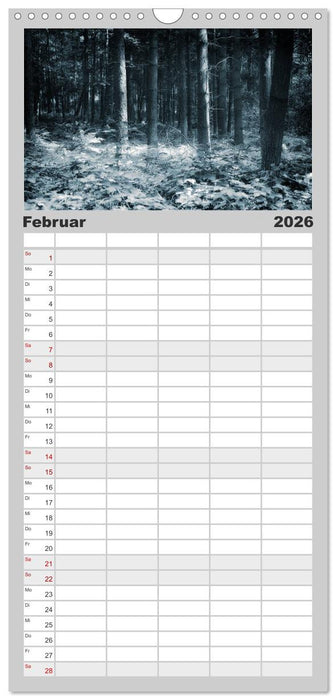 Mystische Wälder (CALVENDO Familienplaner 2026)