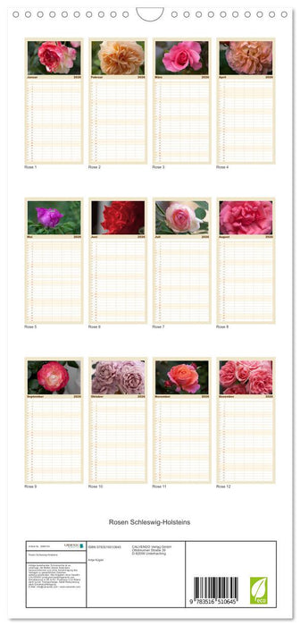 Rosen Schleswig-Holsteins (CALVENDO Familienplaner 2026)