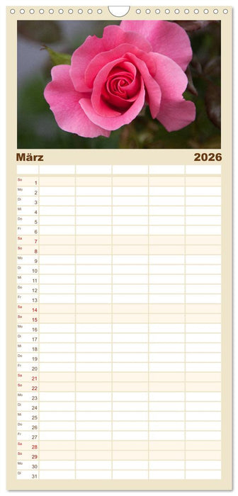 Rosen Schleswig-Holsteins (CALVENDO Familienplaner 2026)