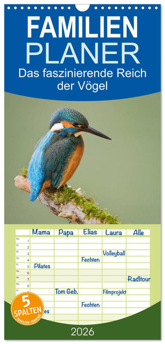 Das faszinierende Reich der Vögel (CALVENDO Familienplaner 2026)
